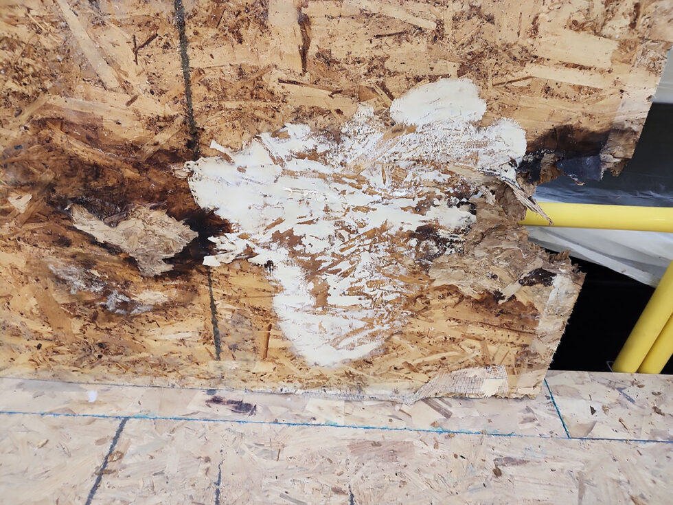 raptor fifth wheel roof repair being done